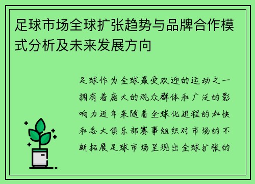 足球市场全球扩张趋势与品牌合作模式分析及未来发展方向 足球市场全球扩张趋势与品牌合作模式分析及未来发展方向